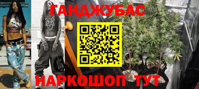 гидра Дубна