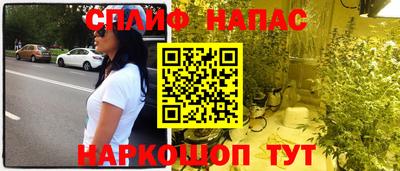 гидра Дубна