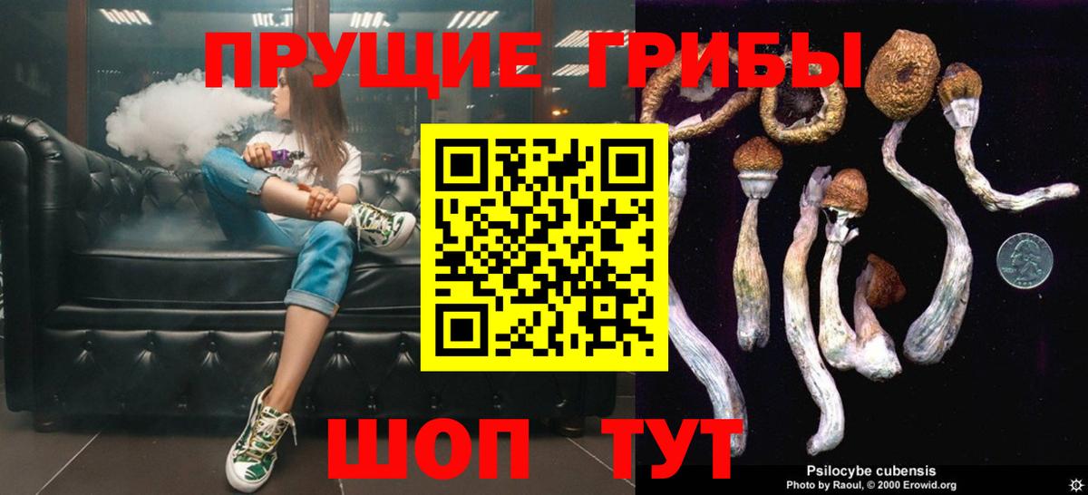 Псилоцибиновые грибы GOLDEN TEACHER  Вход с VPN  где найти   Муром 